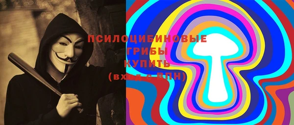 гашик Кинешма